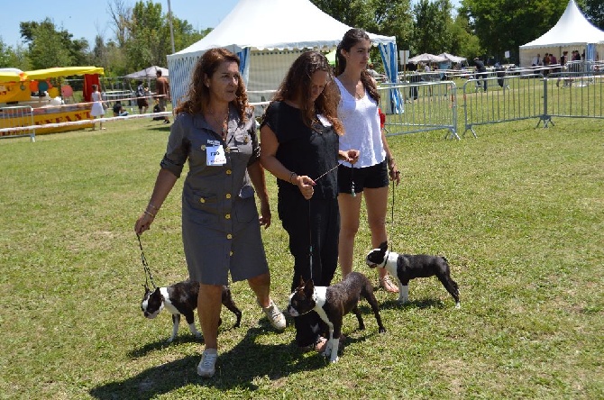 de la Closerie Deval - Exposition canine internationale l'Union