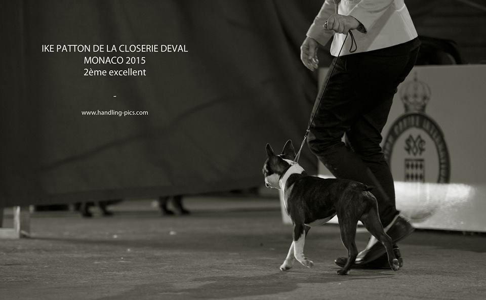 de la Closerie Deval - Exposition Canine Internationale Monaco 