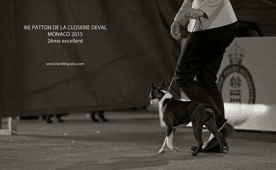 de la Closerie Deval - Exposition Canine Internationale Monaco